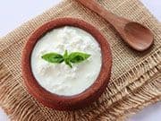 Plain Curd